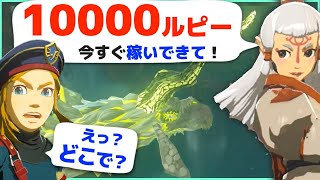 攻略 15分で10000ルピー稼ぐ！フロドラの角集めや小ネタを紹介 ゼルダの伝説 ブレスオブザワイルド [upl. by Akere]