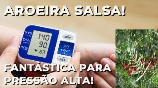 Aroeira Salsa Uma planta medicina para pressão alta e depressão [upl. by Irrak]