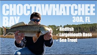 Choctawhatchee Bay Inshore  River Fishing 30a Inshore Fishing [upl. by Eeclehc505]