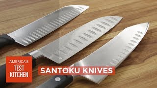 Equipment Review Best Santoku Knives amp Our Testing Winners [upl. by Amias333]