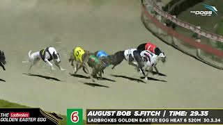 Ladbrokes Golden Easter Egg Heat 6  August Bob [upl. by Rafaelita815]