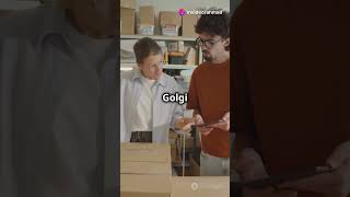 Golgi Apparatus Know About It [upl. by Gorrian]