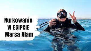 Najlepsze NURKOWANIE I SNORKELING W EGIPCIE Marsa Alam 2021 [upl. by Ivers]