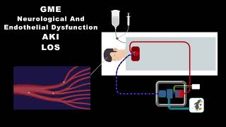 Spectrum Medicals Dual Chamber Oxygenator Technology for ECLS [upl. by Recor686]