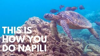 Napili Bay Guide with a Hidden Turtle Cove Surprise our staycation [upl. by Nnyroc]