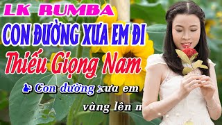 Karaoke Lk Con Đường Xưa Em Đi Tone Nam Thiếu Giọng Nam Hát Song Ca Cùng Thanh Ngân [upl. by Millian]