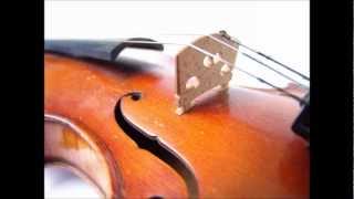 Mozart  String Quartet No 17 in B flat K 458 complete Hunt [upl. by Nirrac249]