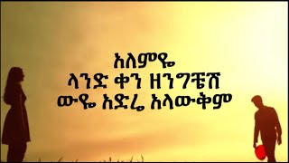 Tewodros Tadesse quotMilash Sichignquot lyrics [upl. by Gatian386]