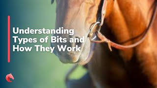 Understanding Types of Bits and How They Work [upl. by Trixi917]