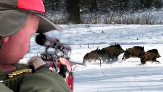 Hunting Serbia  Wild boar hunting  Lov na divlje svinje  Homoljske planine  Caccia ai cinghiali [upl. by Yllet]