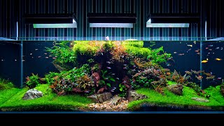 Aquarium Maintenance On Client Location  4K Cinematic  Green Aqua [upl. by Emilio]