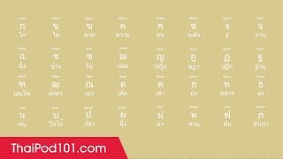 Learn ALL Thai Alphabet in 2 Minutes  How to Read and Write Thai [upl. by Delle]