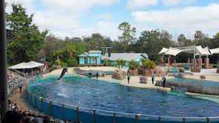 Seaworld Orlando Dolphin Adventure 4k February 2025 [upl. by Yrennalf]