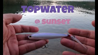 Silverwood Lake CA Shore Fishing  Topwater Lures [upl. by Devonna182]