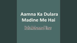 Aamna Ka Dulara Madine Me Hai [upl. by Malachy]