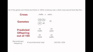 Recombination Frequency and Linked Genes [upl. by Micky]