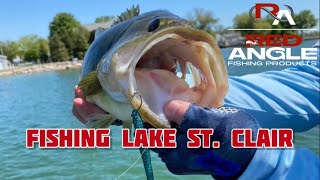 Bass Fishing  Lake St Clair [upl. by Phina701]