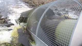 100KW Landustrie Archimedean screw Linton Lock Near York UK [upl. by Kruse]