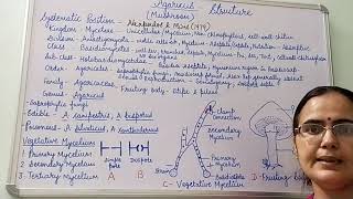 Agaricus Structure BSc PartI Dr Vinod Kumari [upl. by Noed]