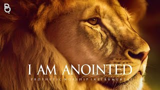 I Am Anointed  Prophetic Worship Music Instrumental [upl. by Halian55]