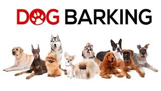 Dogs Barking Sounds To Make Your Dog REACT  34 Breeds Including Yours [upl. by Nereil]