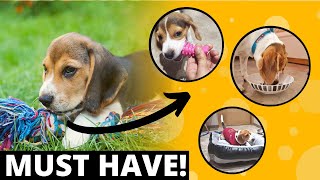 9 MUST Have Accessories for a Beagle Puppy [upl. by Krishna]