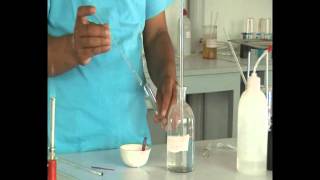 Lab demonstration neutralization reaction [upl. by Jb]