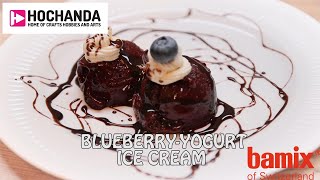 How to Make Blueberry Ice cream with bamix® and Hochanda [upl. by Gittle]