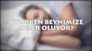 Uyurken Beynimize Neler Oluyor [upl. by Yeo]