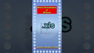 File Extension of MS Excel File  kumarkeshavclasses shortsvideo [upl. by Arfihs]