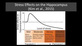 Lecture 29 Introduction to Depression [upl. by Barcus]