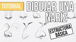 Cómo DIBUJAR cualquier NARIZ paso a paso  MUY FACIL [upl. by Adnomar]