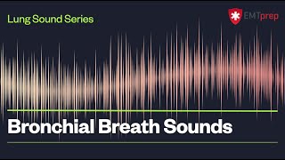 Bronchial Breath Sounds  EMTprepcom [upl. by Ettegroeg]