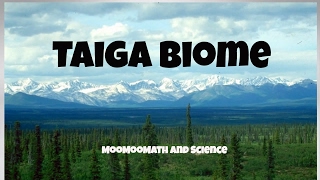 Taiga Biome Facts [upl. by Daniala531]