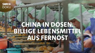 Billige Lebensmittel aus Fernost  China in Dosen  SWR Doku [upl. by Schenck]