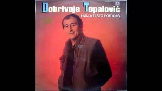 Dobrivoje Topalovic  Pesma pevaca  Audio 1985 HD [upl. by Llerrem677]