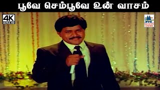 poove sempoove இசைஞானி இசையில் KJ யேசுதாஸ் பாடிய பாடல் பூவே செம்பூவே [upl. by Hannavas]