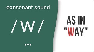 Consonant Sound  w  as in quotwayquot – American English Pronunciation [upl. by Harad]