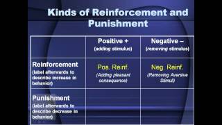 AP Psych Review Operant Conditioning Reinforcers and Punishers [upl. by Ender610]