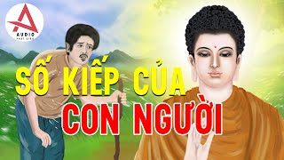 Kể Truyện Đêm Khuya  Câu chuyện phật giáo hay nhất về số kiếp con người nghe để cải đổi vận mệnh [upl. by Zoltai302]