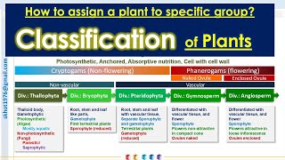 General Classification of plants Thallophyta Bryophyta Pteridophyta Gymnosperms amp Angiosperms [upl. by Yzus]