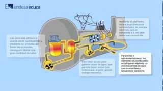 Cómo funciona una central nuclear [upl. by Ydnec]