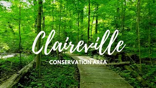 Hiking Ontario Claireville Conservation Area [upl. by Rog610]