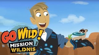 Go Wild Mission Wildnis  Bandito der Schwarzfussiltis  Folge 25 [upl. by Tanney]