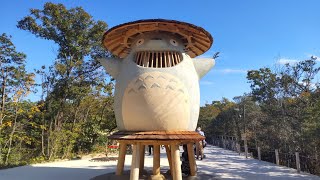 Meet quotMy Neighbor Totoroquot at Ghibli Theme Park Aichi Japan🇯🇵  Dondoko Forest [upl. by Yelkreb820]