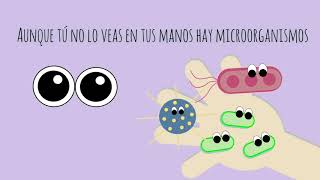 Experimento  ¿Bacterias virus y hongos en tus manos  Ciencia para niños [upl. by Guerin201]