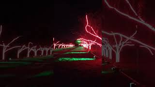 Kew Gardens  Christmas Light Show [upl. by Ponton]