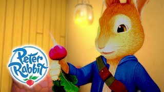 Peter Rabbit  Rabbits Love Radishes  Peter Rabbit Benjamin amp Lily  Cartoons for Kids [upl. by Paryavi113]