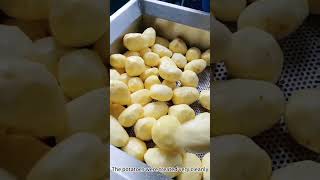 Automatic potato peeling machine [upl. by Laks]