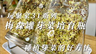 玩聚家31系列梅森罐芽菜培育瓶 種植芽菜的好方法 [upl. by Selrhc]